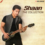 Shaan - The Collection - Amit Kamble Song Download